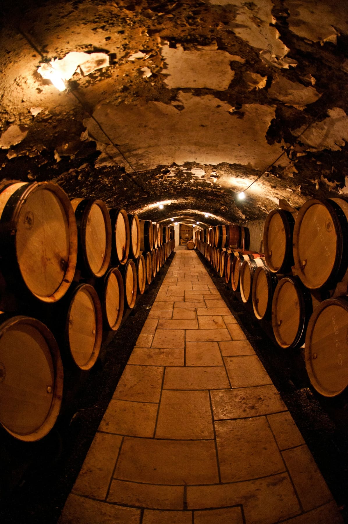 The cellar as autobiography